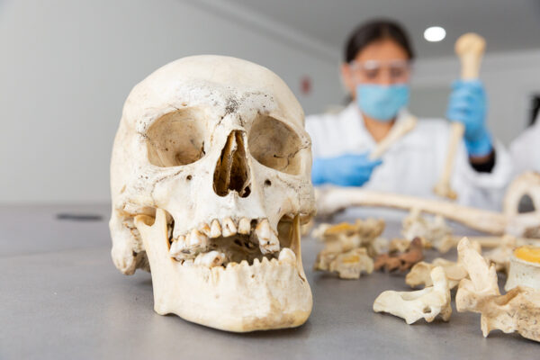La importancia de las ciencias forenses en el sistema penal acusatorio
