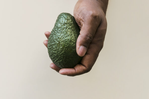 ¿Buenos aguacates?